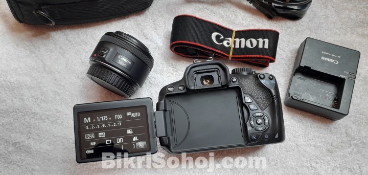 canon 650d with 55mm stm prime lens